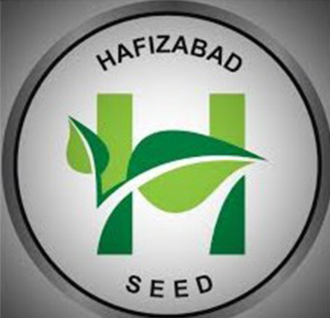 Hafizabad Seed